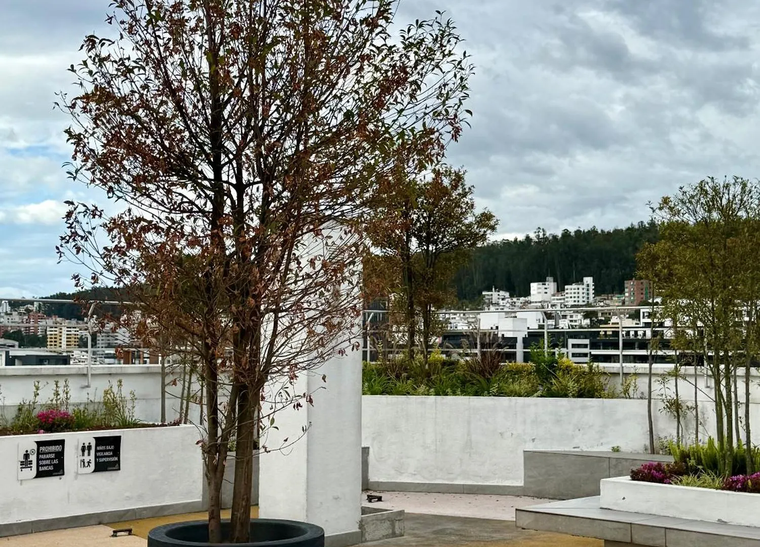 Luxury Apartment With Balcony And View Quito 0*,
